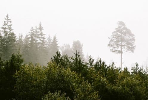 Individuāls apsaimniekošanas plāns